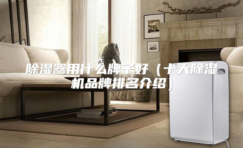 除湿器用什么牌子好（十大除湿机品牌排名介绍）