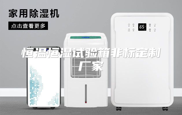 恒温恒湿试验箱非标定制厂家