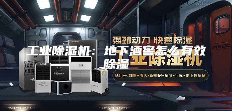 工业除湿机：地下酒窖怎么有效除湿
