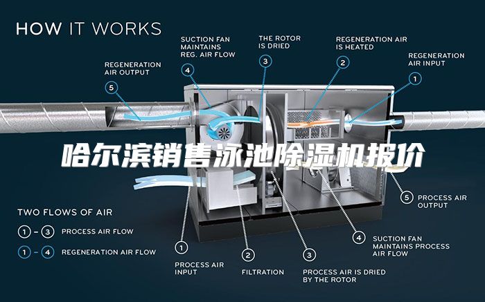 哈尔滨销售泳池除湿机报价