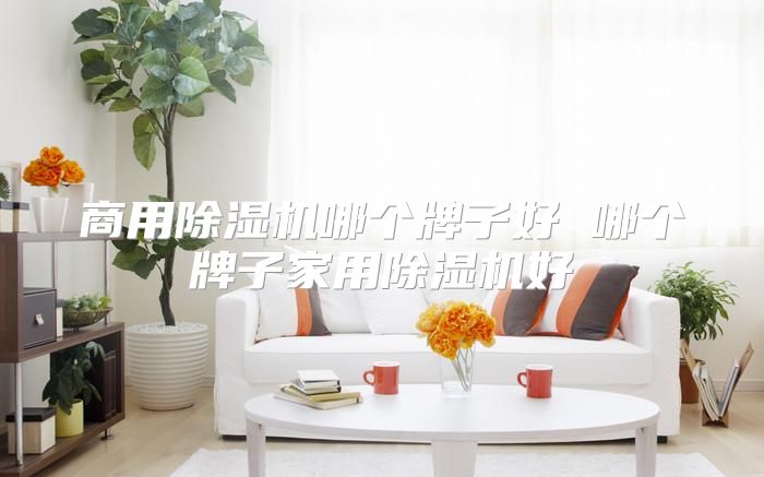 商用除湿机哪个牌子好 哪个牌子家用除湿机好