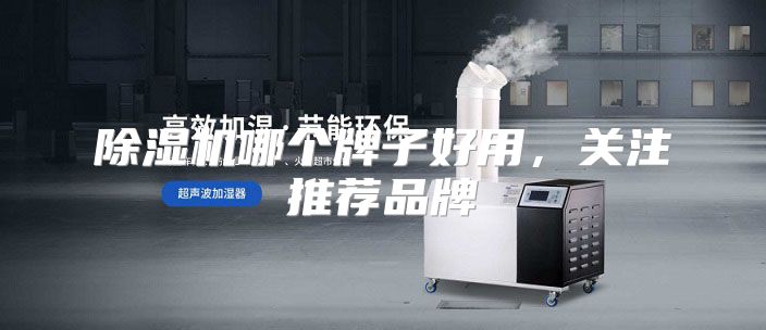 除湿机哪个牌子好用，关注推荐品牌