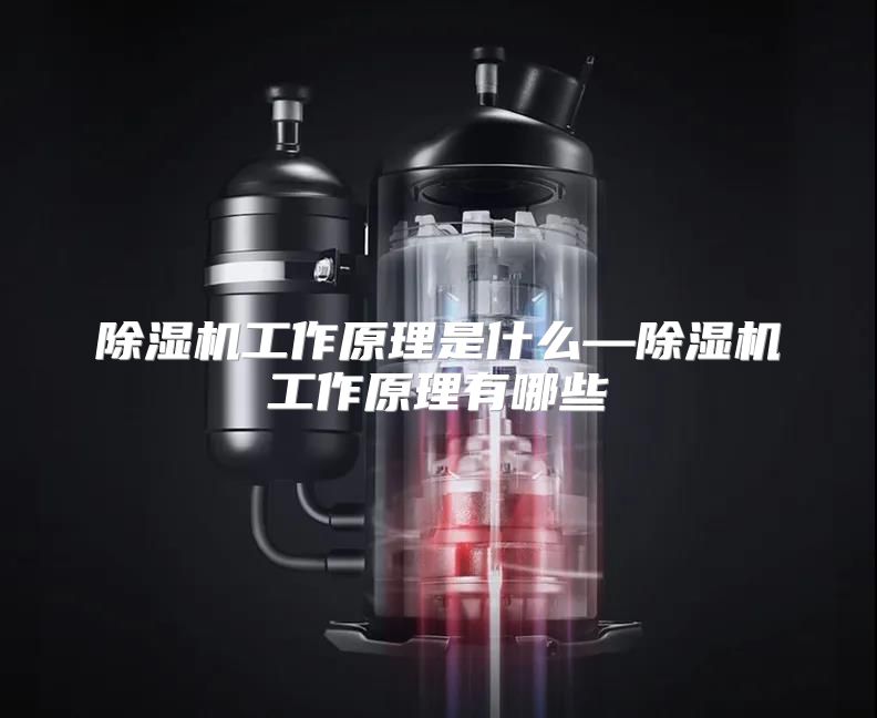 除湿机工作原理是什么—除湿机工作原理有哪些