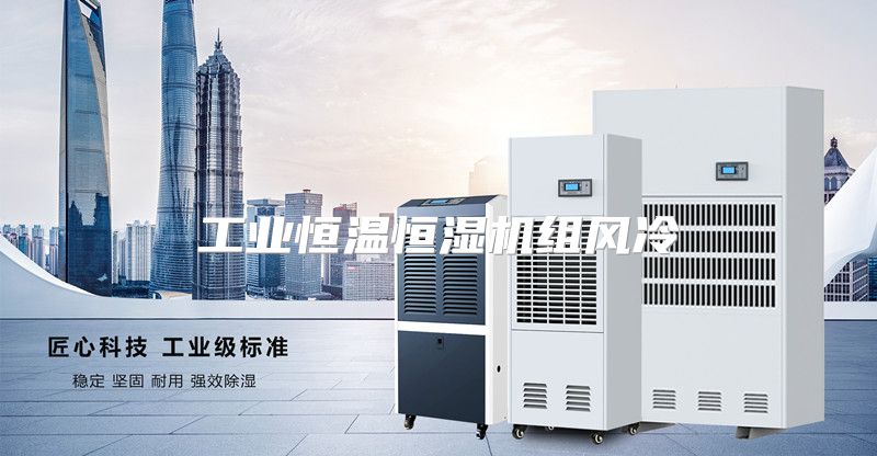 工业恒温恒湿机组风冷