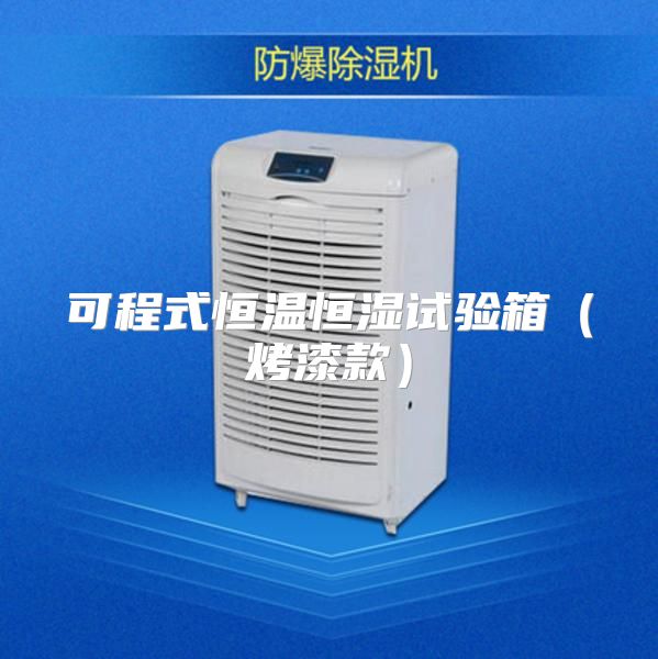 可程式恒温恒湿试验箱（烤漆款）