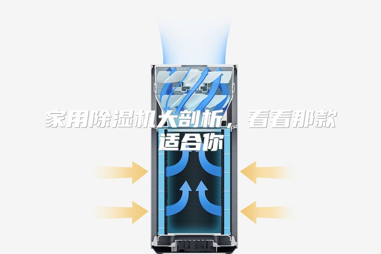家用除湿机大剖析，看看那款适合你