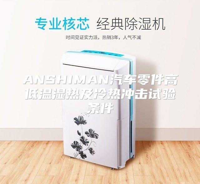 ANSHIMAN汽车零件高低温湿热及冷热冲击试验条件