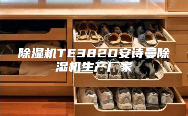 除湿机TE382D安诗曼除湿机生产厂家
