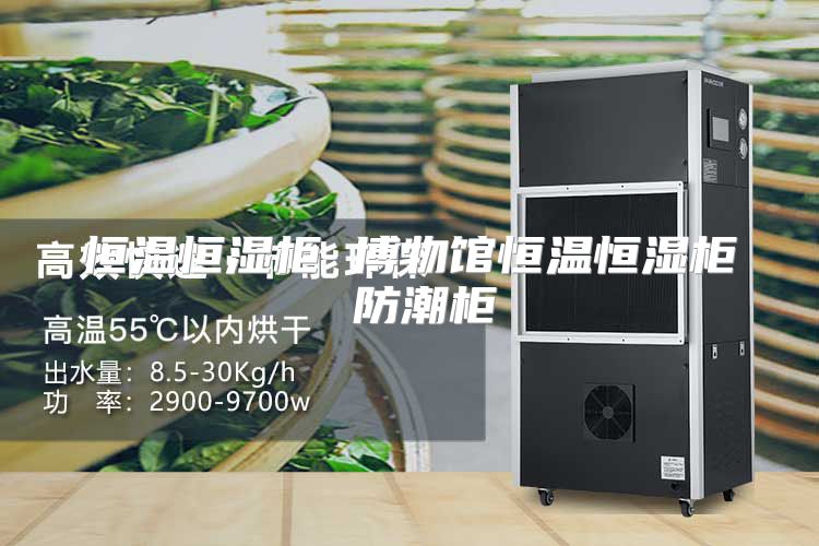 恒温恒湿柜 博物馆恒温恒湿柜 防潮柜