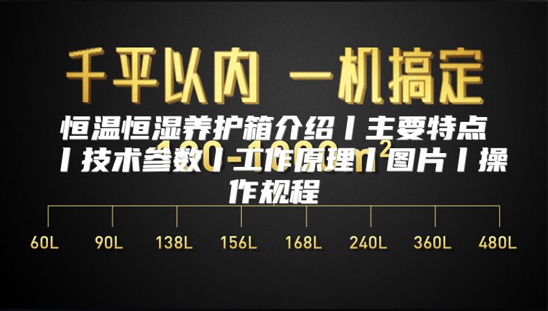 恒温恒湿养护箱介绍丨主要特点丨技术参数丨工作原理丨图片丨操作规程