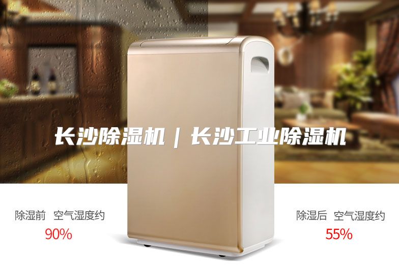 长沙除湿机｜长沙工业除湿机