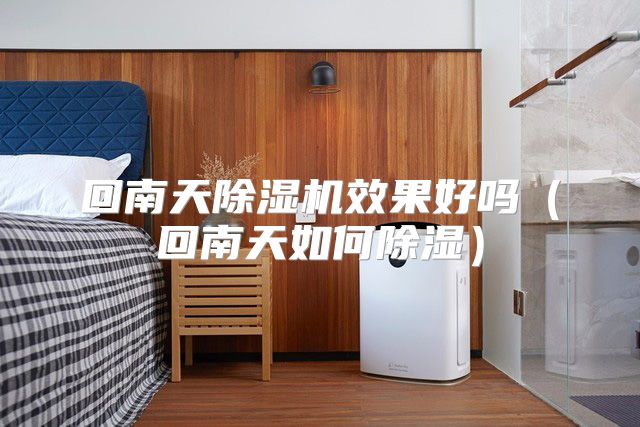回南天除湿机效果好吗（回南天如何除湿）