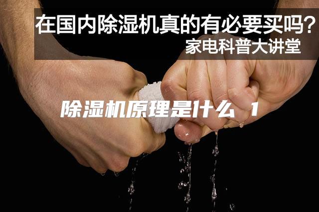 除湿机原理是什么 1
