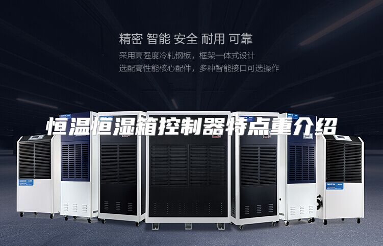 恒温恒湿箱控制器特点重介绍