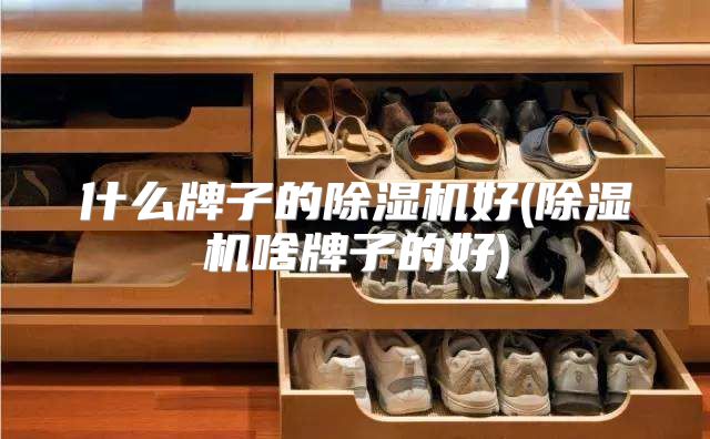 什么牌子的除湿机好(除湿机啥牌子的好)