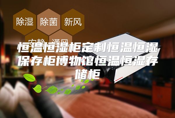 恒温恒湿柜定制恒温恒湿保存柜博物馆恒温恒湿存储柜