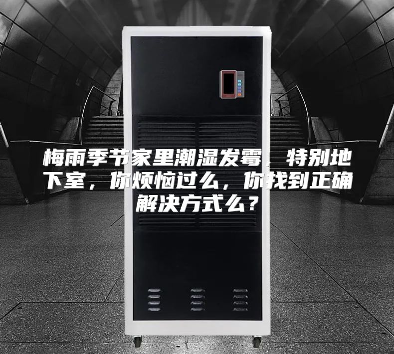 梅雨季节家里潮湿发霉，特别地下室，你烦恼过么，你找到正确解决方式么？