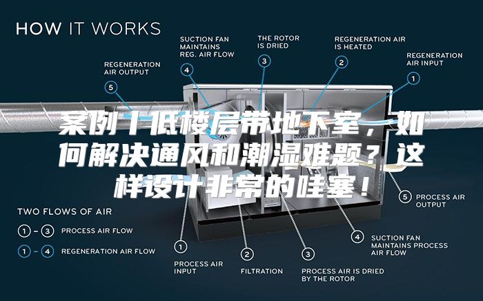 案例丨低楼层带地下室，如何解决通风和潮湿难题？这样设计非常的哇塞！