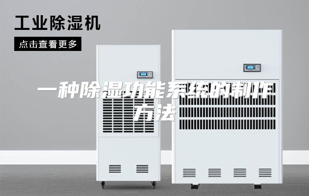 一种除湿功能系统的制作方法