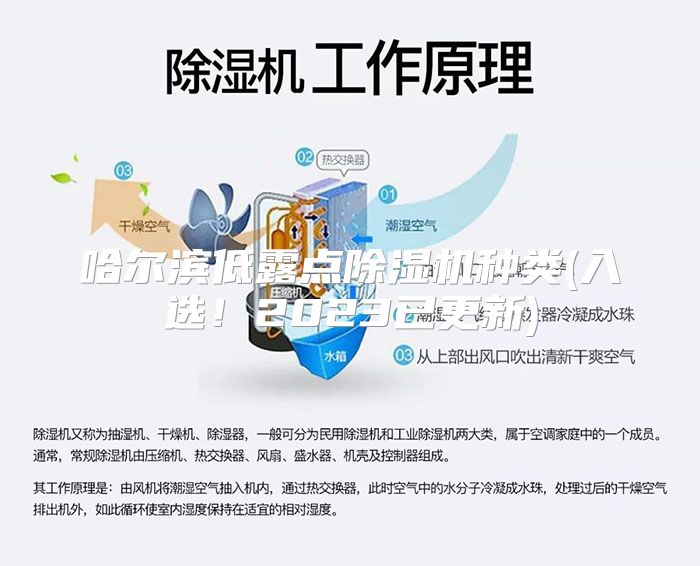 哈尔滨低露点除湿机种类(入选！2023已更新)