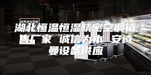 湖北恒温恒湿精密空调销售厂家 诚信为本 安诗曼设备供应