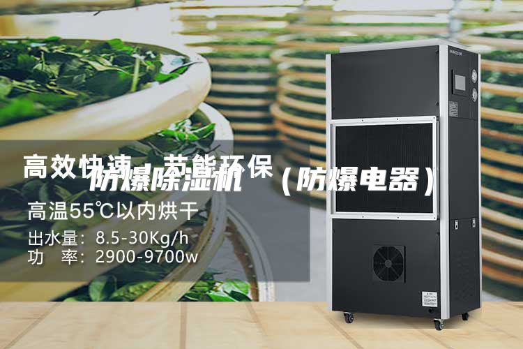 防爆除湿机 （防爆电器）
