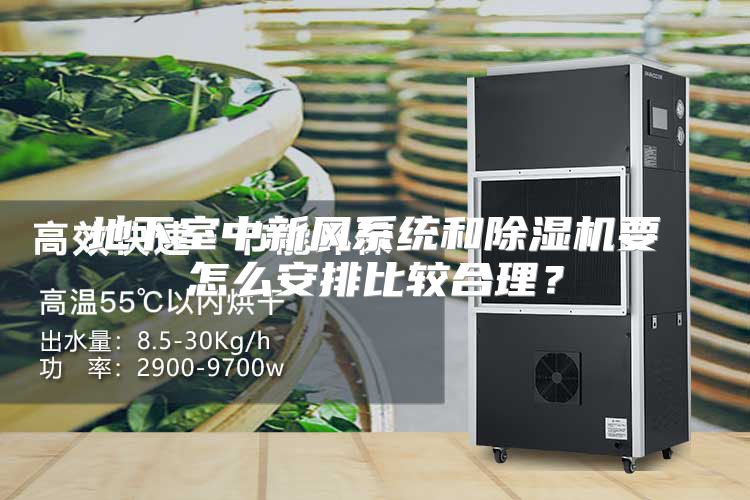 地下室中新风系统和除湿机要怎么安排比较合理？