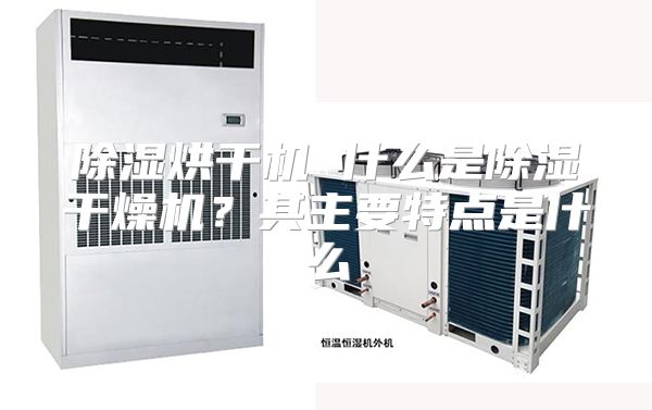 除湿烘干机 什么是除湿干燥机？其主要特点是什么