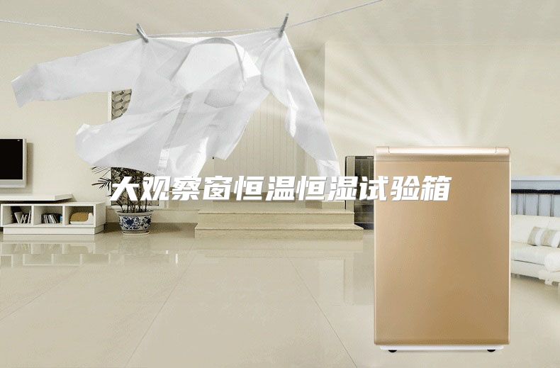 大观察窗恒温恒湿试验箱