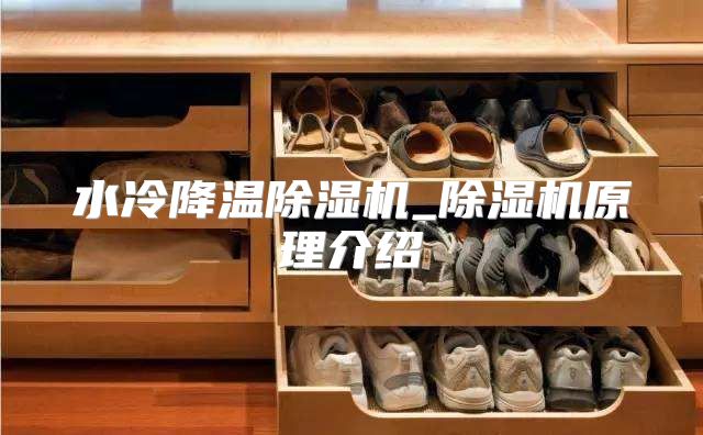 水冷降温除湿机_除湿机原理介绍