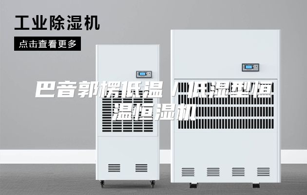 巴音郭楞低温／低湿型恒温恒湿机