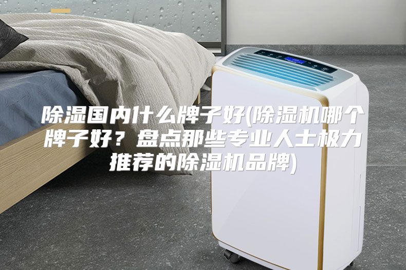 除湿国内什么牌子好(除湿机哪个牌子好？盘点那些专业人士极力推荐的除湿机品牌)