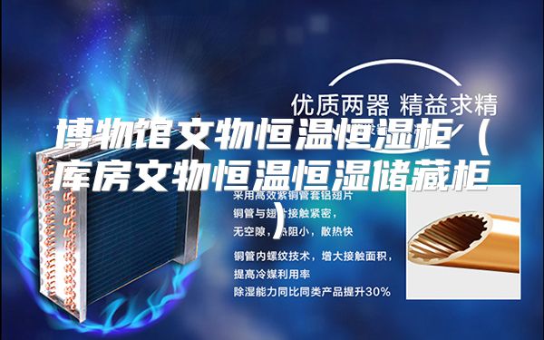 博物馆文物恒温恒湿柜（库房文物恒温恒湿储藏柜）