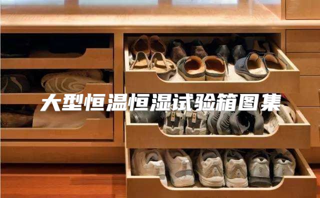 大型恒温恒湿试验箱图集