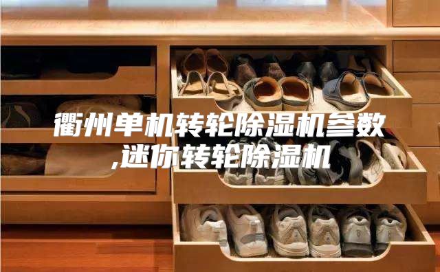 衢州单机转轮除湿机参数,迷你转轮除湿机