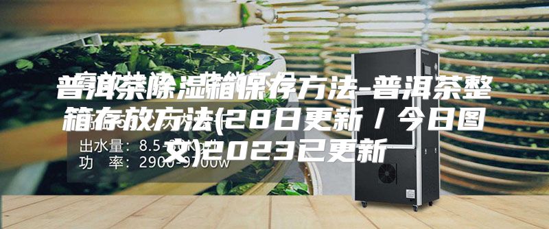 普洱茶除湿箱保存方法-普洱茶整箱存放方法(28日更新／今日图文)2023已更新