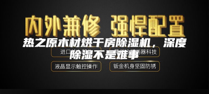 热之原木材烘干房除湿机，深度除湿不是难事
