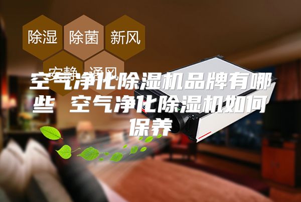 空气净化除湿机品牌有哪些 空气净化除湿机如何保养