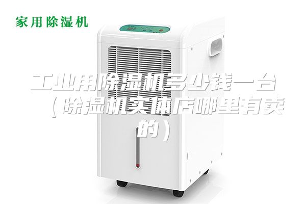 工业用除湿机多少钱一台（除湿机实体店哪里有卖的）