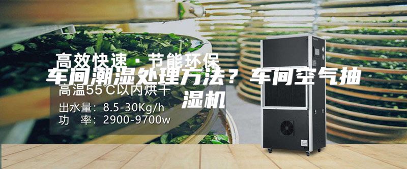 车间潮湿处理方法？车间空气抽湿机