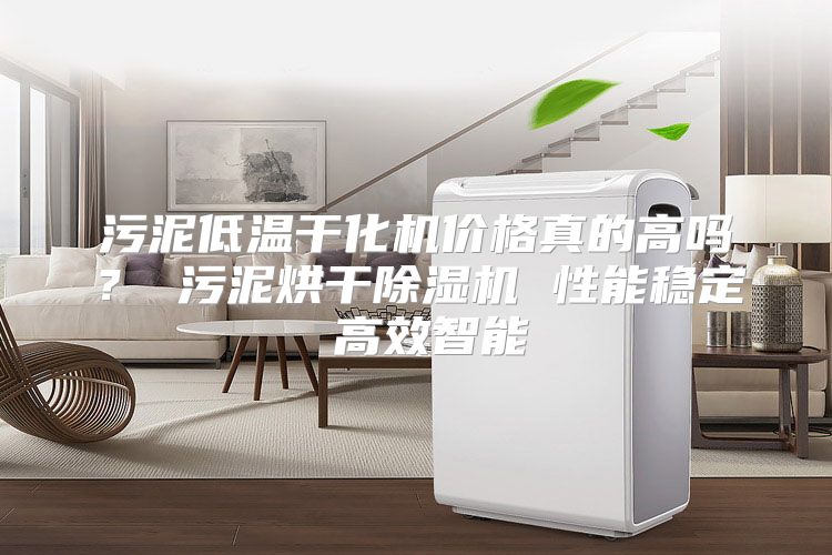 污泥低温干化机价格真的高吗？ 污泥烘干除湿机 性能稳定 高效智能