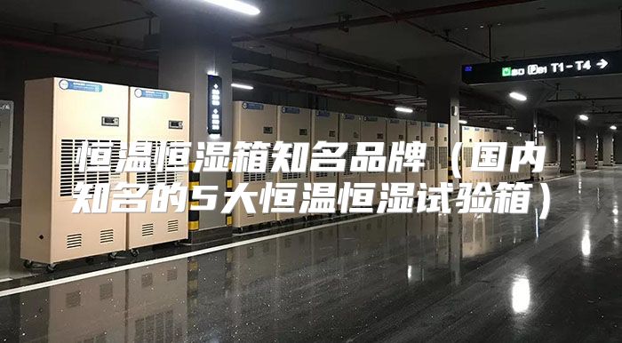 恒温恒湿箱知名品牌（国内知名的5大恒温恒湿试验箱）