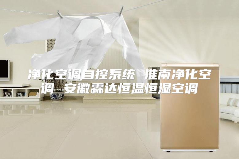 净化空调自控系统 淮南净化空调 安徽霖达恒温恒湿空调
