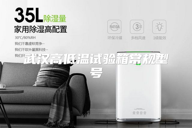 武汉高低温试验箱常规型号