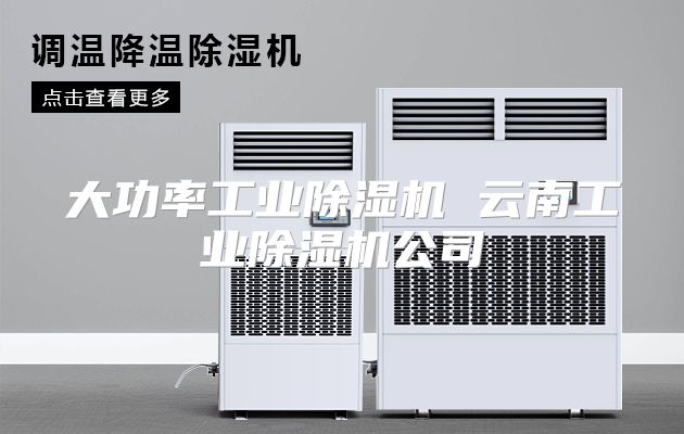 大功率工业除湿机 云南工业除湿机公司