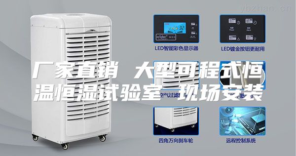 厂家直销 大型可程式恒温恒湿试验室 现场安装