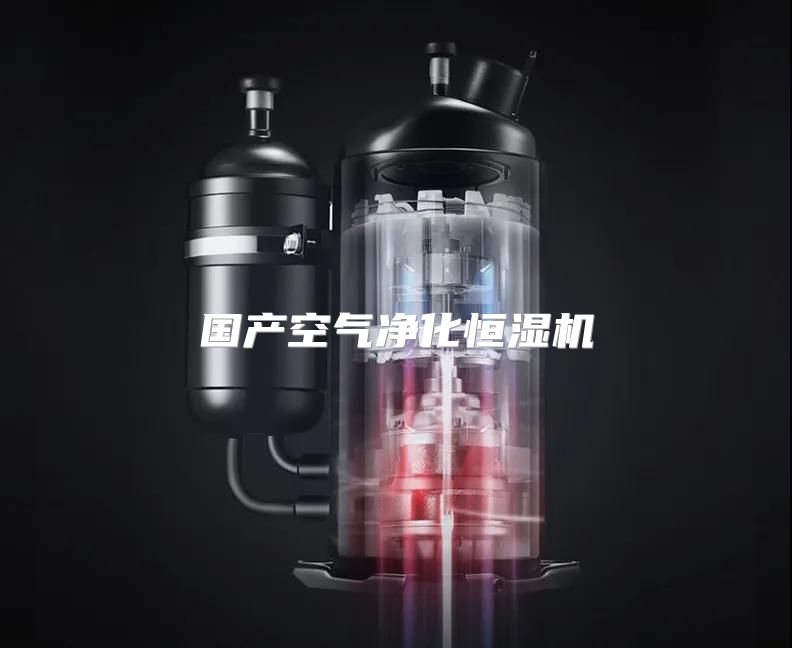 国产空气净化恒湿机