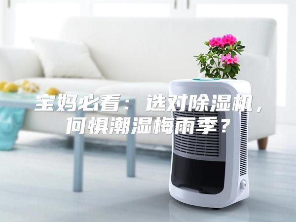 宝妈必看：选对除湿机，何惧潮湿梅雨季？