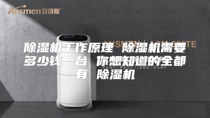 除湿机工作原理 除湿机需要多少钱一台 你想知道的全都有 除湿机