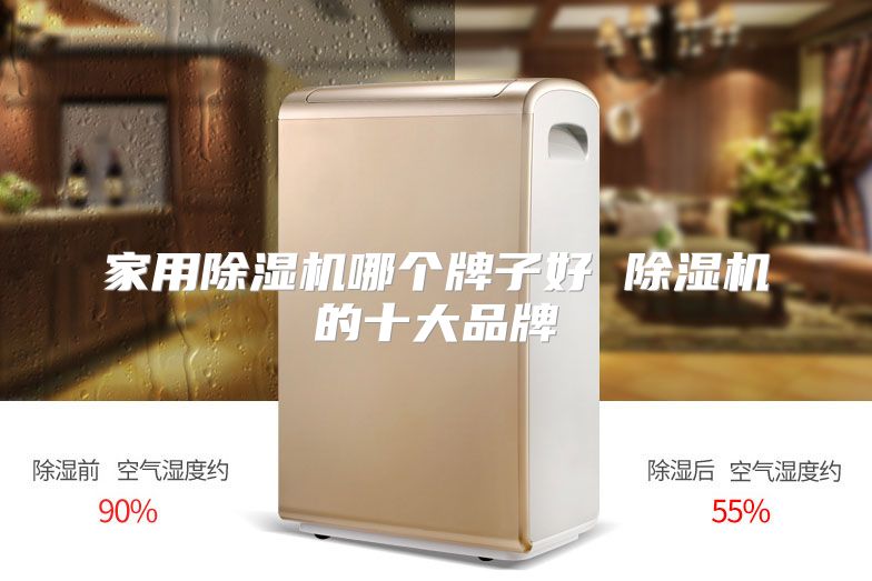 家用除湿机哪个牌子好 除湿机的十大品牌